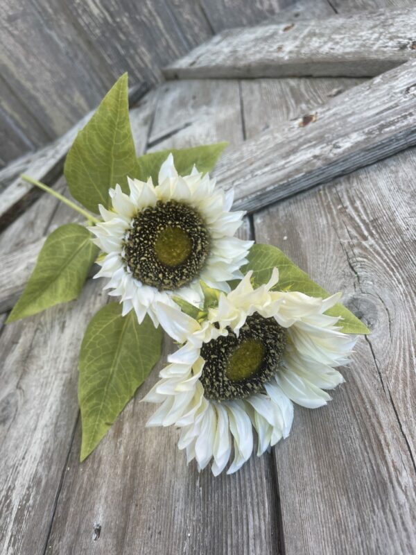 White Sunflower with 2 Large Heads - Kelea's Florals