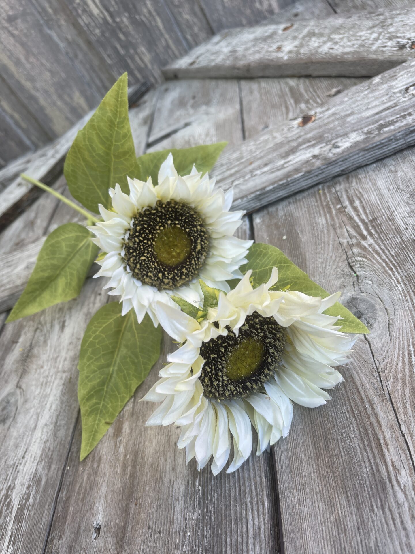 White Sunflower with 2 Large Heads - Kelea's Florals