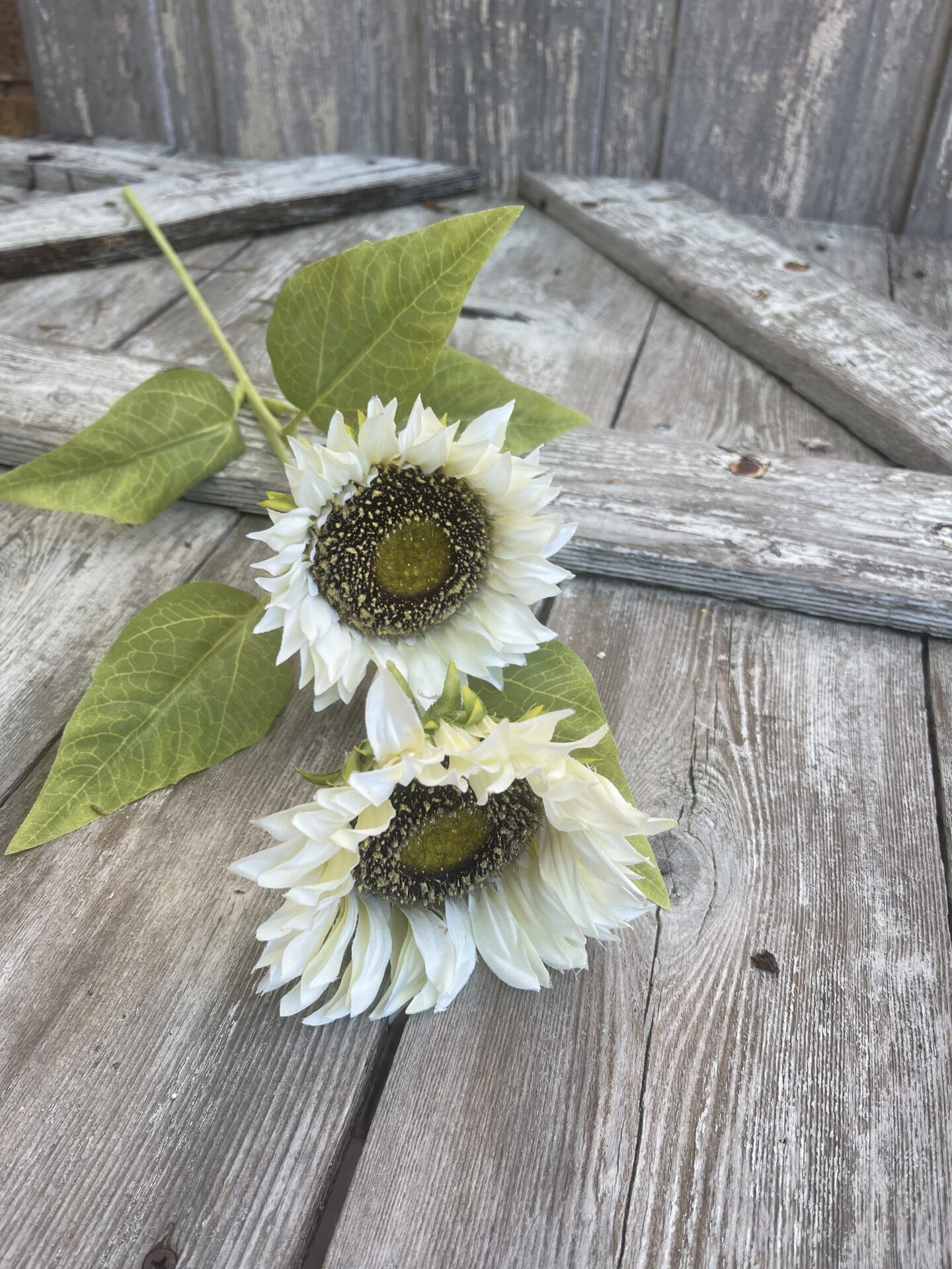 White Sunflower with 2 Large Heads - Kelea's Florals