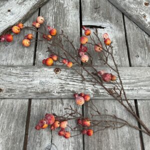 Mini Pomegranate Spray 83012-OR