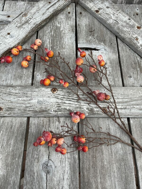 Mini Pomegranate Spray 83012-OR