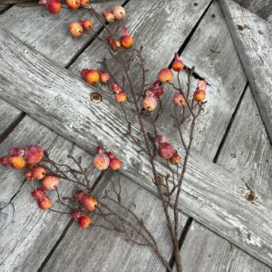 Mini Pomegranate Spray 83012-OR