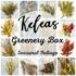 Kelea's monthly greenery subscription box with seasonal foliage and floral greenery