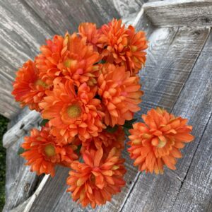Orange Callistephus Bush 82496-OR
