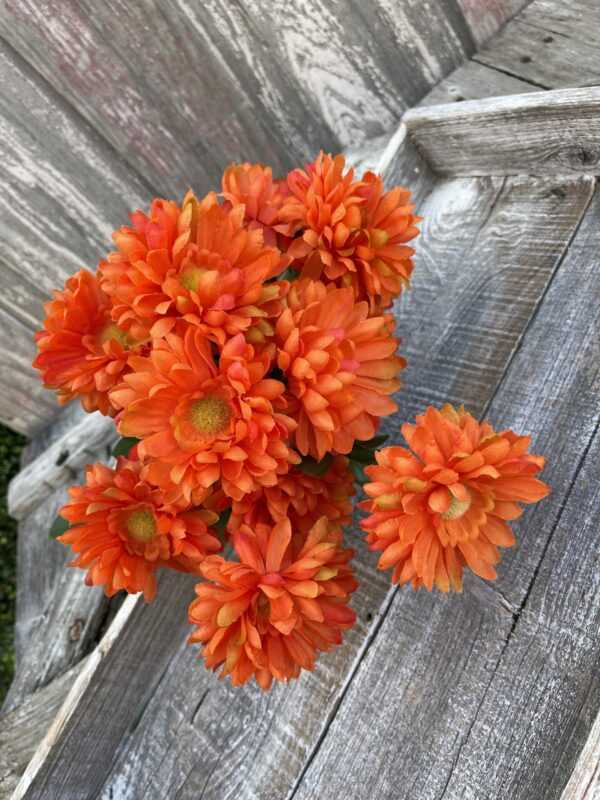 Orange Callistephus Bush 82496-OR