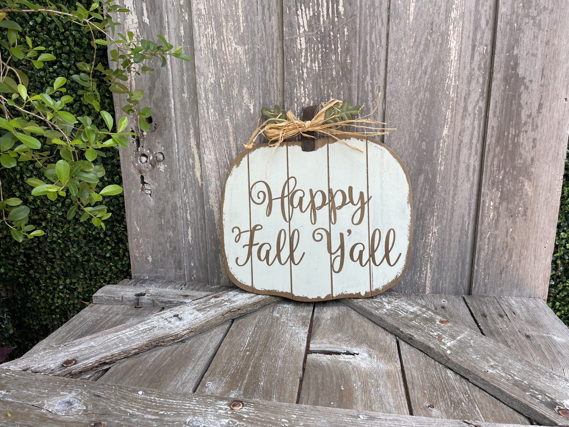 Happy Fall Yall Pumpkin Sign - Kelea's Florals