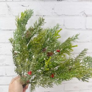 81093 Iced Cedar Pine Bush