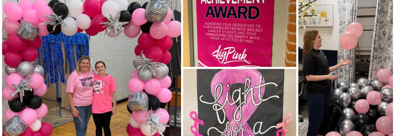 DigPink Collage