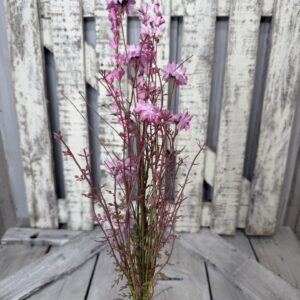 Pink Daisy Wild Flower 2394960-PK