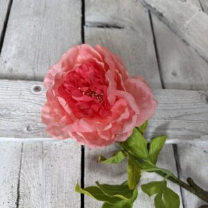 Coral Peony Stem ZYX-0162