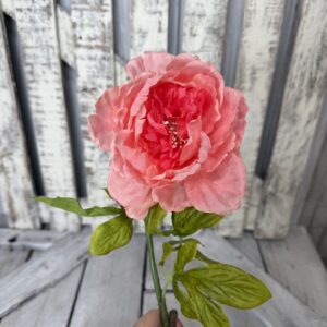 Coral Peony Stem ZYX-0162 (1)