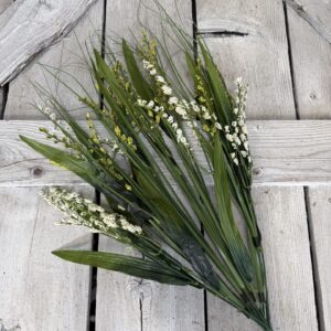 Cream Green Foxtail Grass 30626CMGN