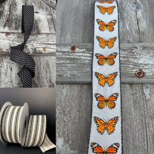Ribbons for a butterfly theme bow