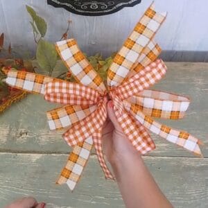 Funky Fall Bow